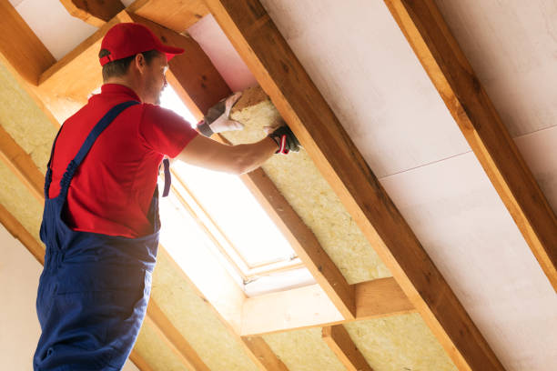 Trusted Pleasant Hill, TX Insulation Installation & Removal Experts